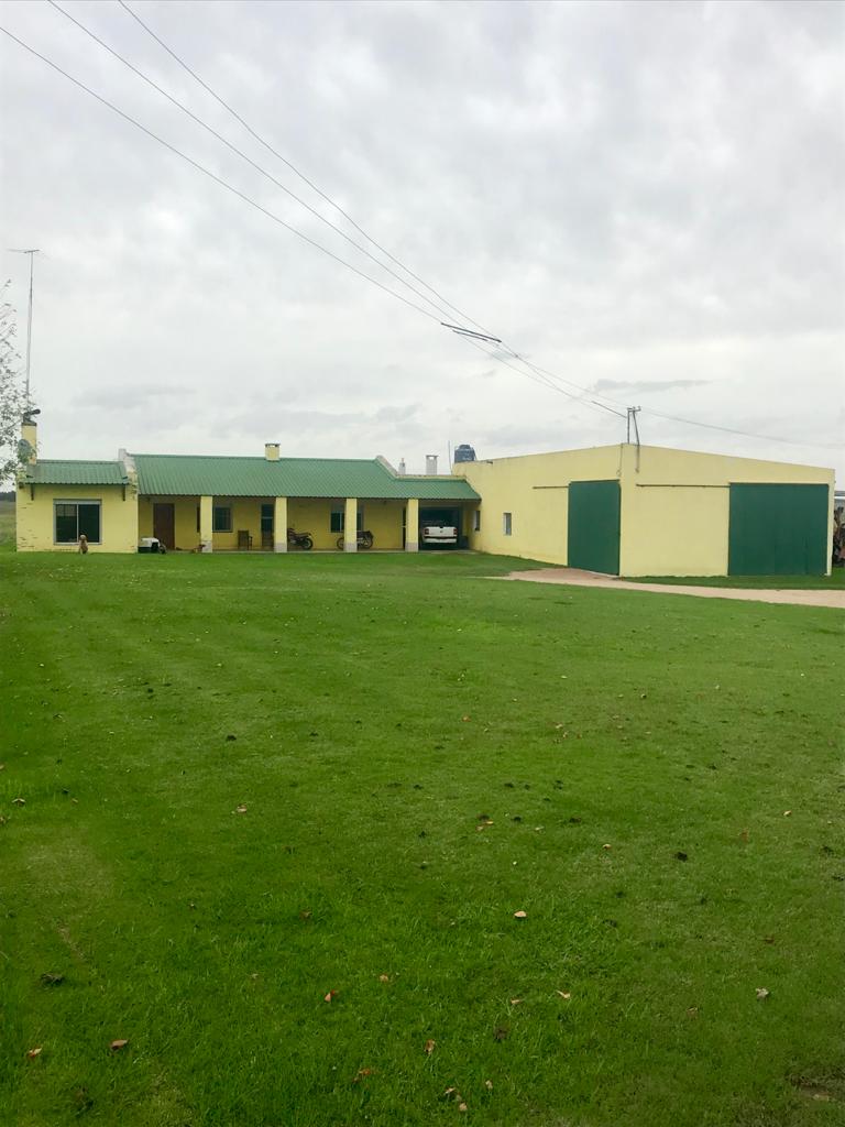 Best Cropping Land In San Jose Uruguay • Terramar Farmlands